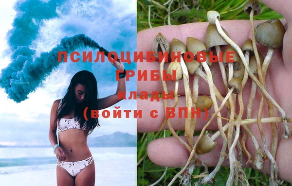 метадон Алексин