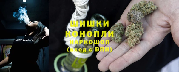 сатива Осташков
